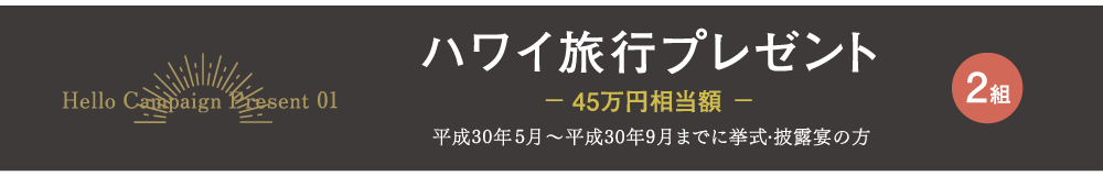 ハワイ旅行