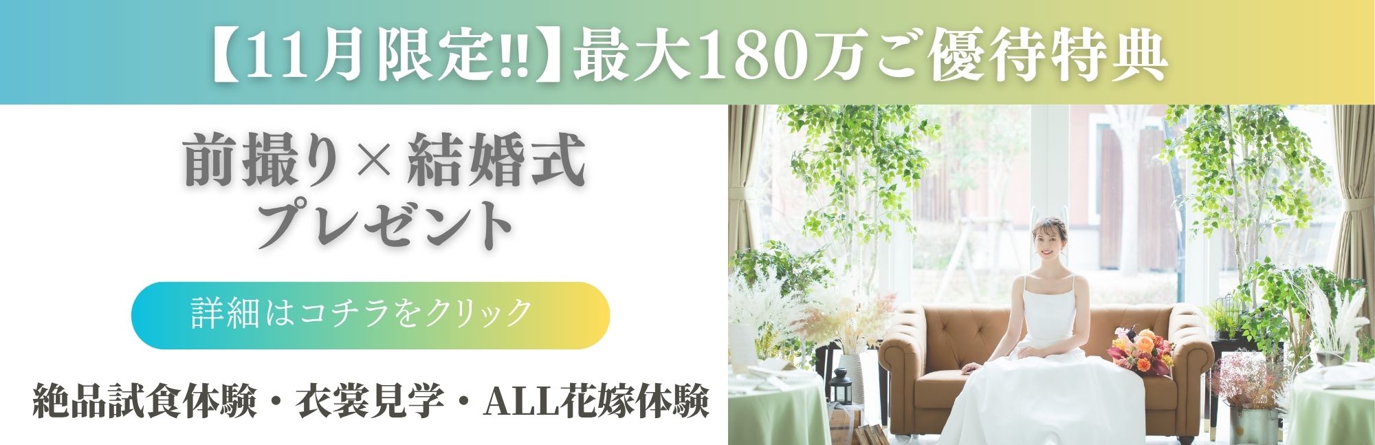 【11月限定】１８０万ご優待